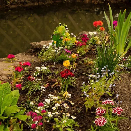 Апартаменты Au Ruisseau De Belle Isle *