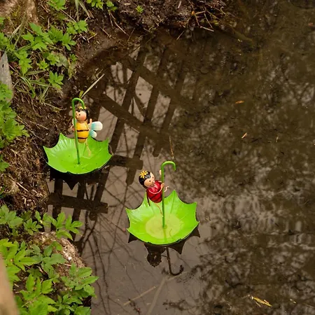 Au Ruisseau De Belle Isle *